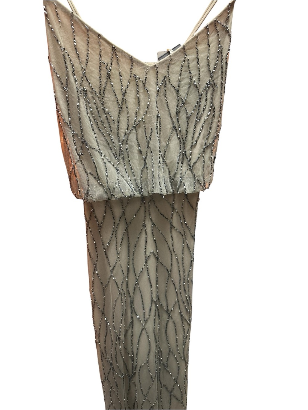 Adrianna pappelle Embellished Nude Beaded Evening Dress